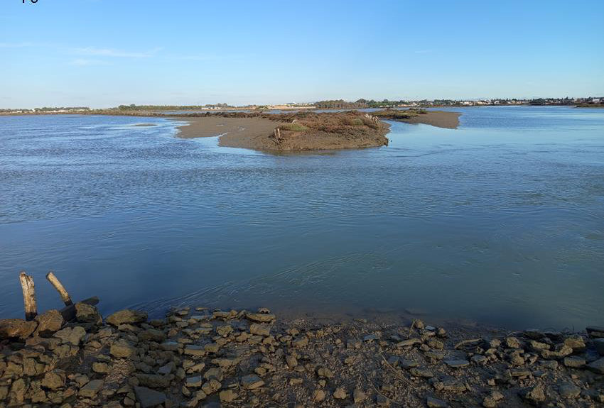 Lámina de agua del Estero 2 del Coto de la Isleta bajo el cielo azul