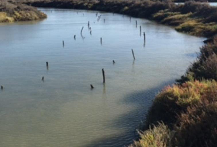 Canal de agua con postes de madera clavados para frenar la pesca furtiva